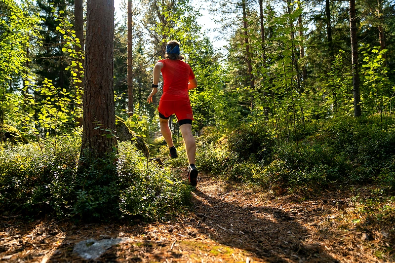 Εικόνα για1ο Vlasti Wind Trail